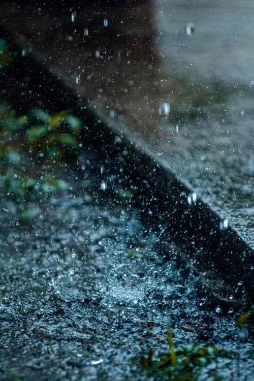 കൊടും ചൂടും കാത്തിരുന്ന് കിട്ടിയ വേനൽമഴയും ഒപ്പമെത്തിയ കാറ്റും ചതിച്ചു, എറണാകുളം ജില്ലയിൽ 43 കോടിയുടെ കൃഷിനാശം